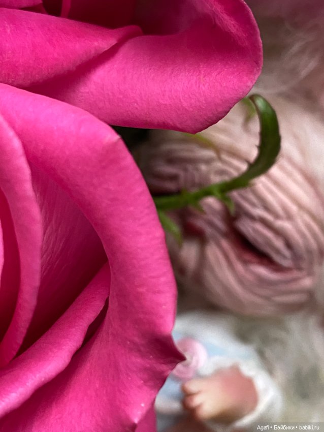 Моя любовь — Домашние фото авторских кукол: личные коллекции