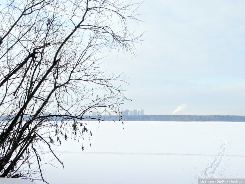 Зимняя прогулка стильных девчонок (фото 5)