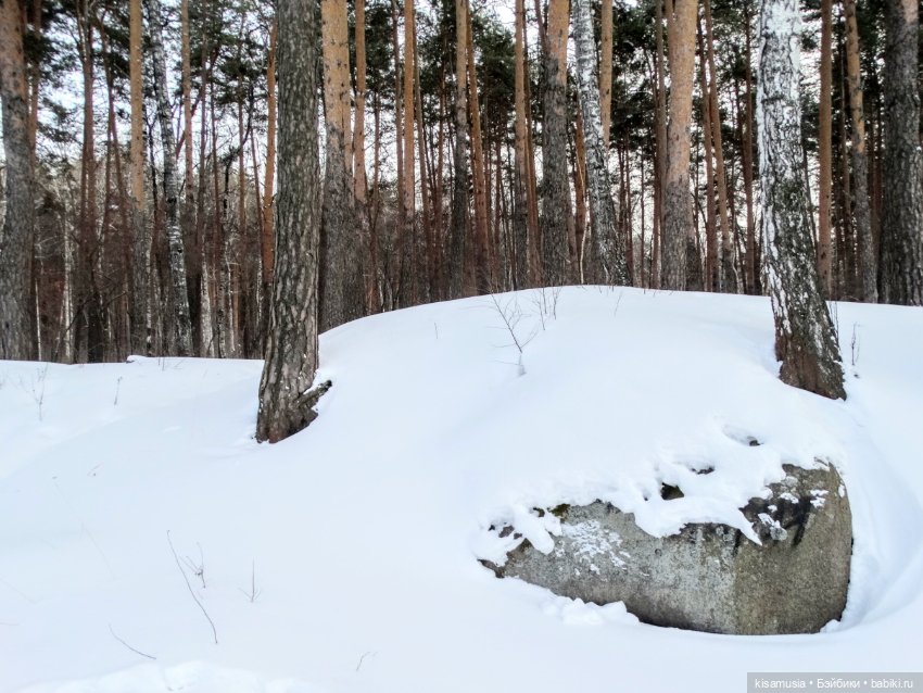Зимняя прогулка стильных девчонок