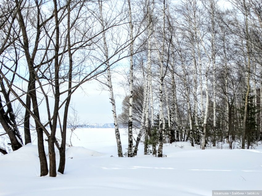 Зимняя прогулка стильных девчонок