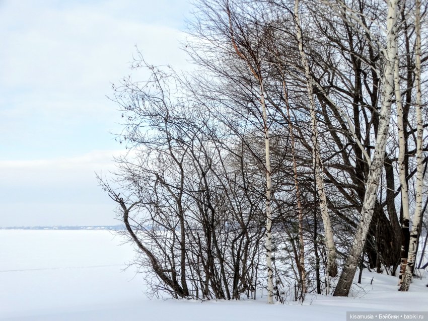 Зимняя прогулка стильных девчонок