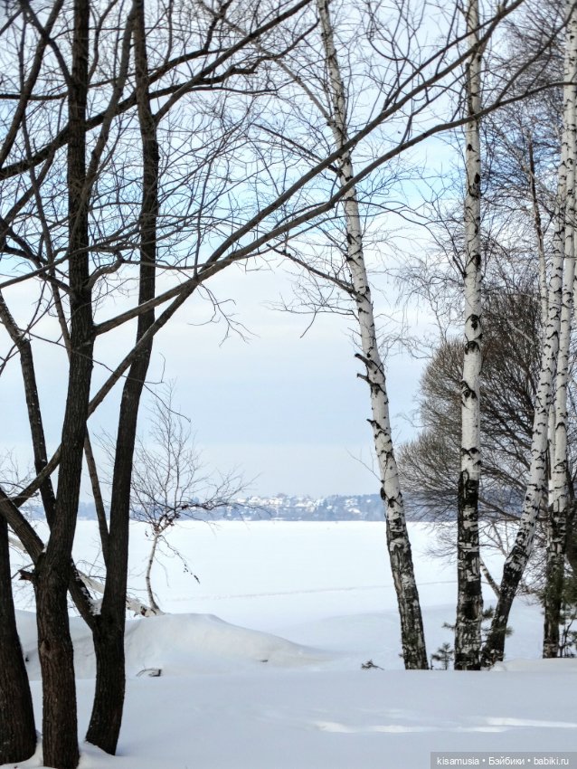 Зимняя прогулка стильных девчонок (фото 10)