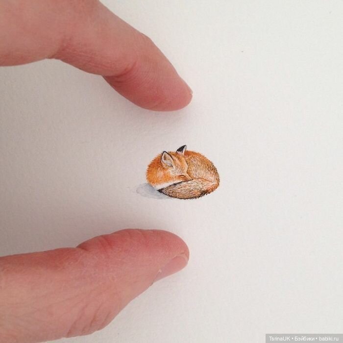 Миниатюры Брук Ротшанк — Интересное и необычное: фотоподборки