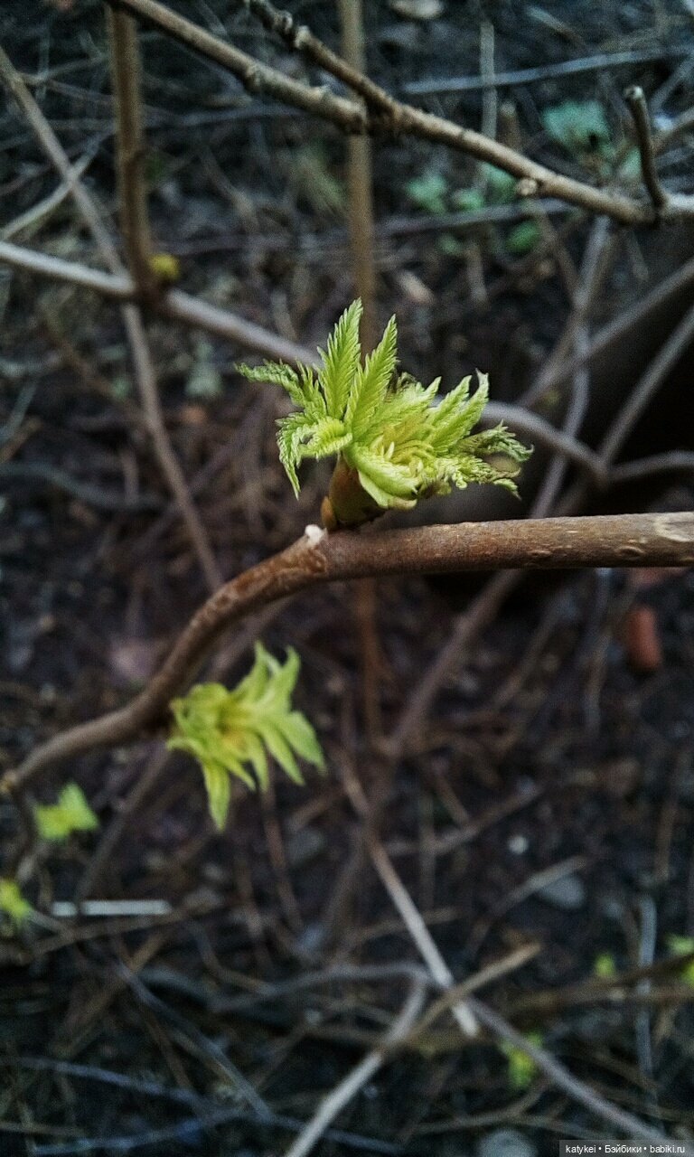 Имитация жары — Коллекционные экшн