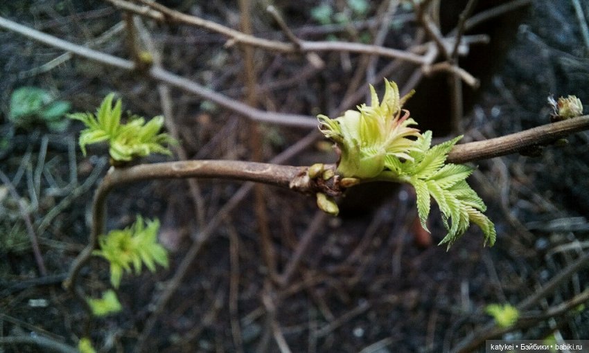 Имитация жары — Коллекционные экшн