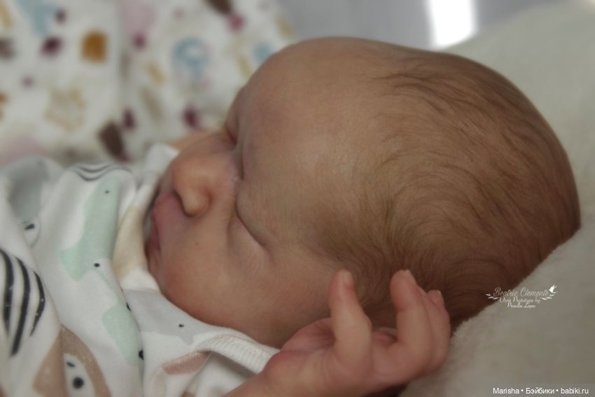 Ossie скульптора Priscilla Lopes, автор прототипа Beatriz Clemente