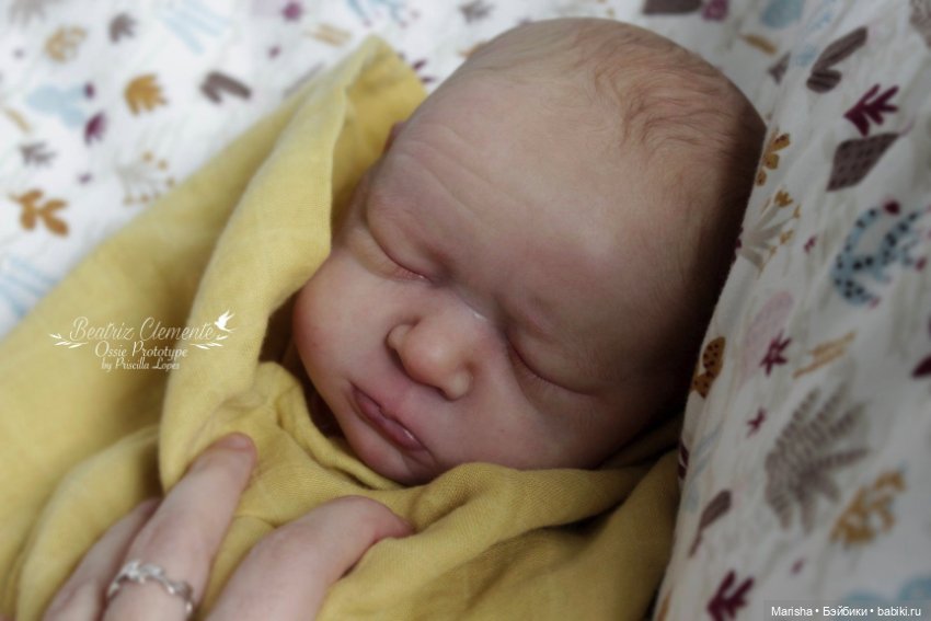 Ossie скульптора Priscilla Lopes, автор прототипа Beatriz Clemente (фото 10)