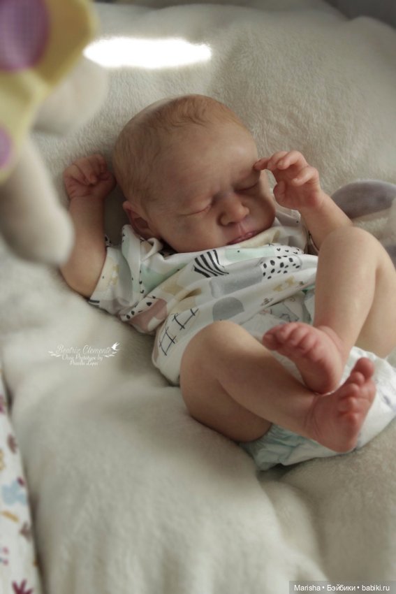 Ossie скульптора Priscilla Lopes, автор прототипа Beatriz Clemente (фото 7)