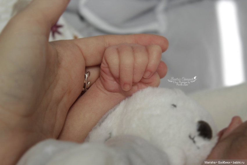 Ossie скульптора Priscilla Lopes, автор прототипа Beatriz Clemente (фото 6)