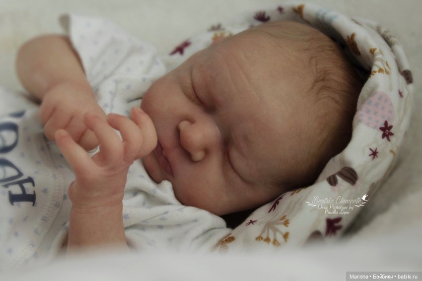 Ossie скульптора Priscilla Lopes, автор прототипа Beatriz Clemente (фото 8)