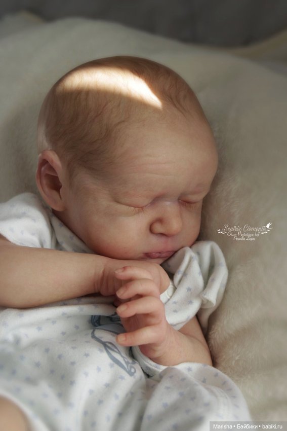 Ossie скульптора Priscilla Lopes, автор прототипа Beatriz Clemente