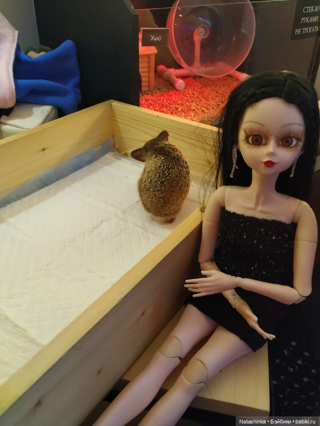 Fashion Dolls — Куклы Звезды подиума (Angel Collection): шарнирные (фото 3)