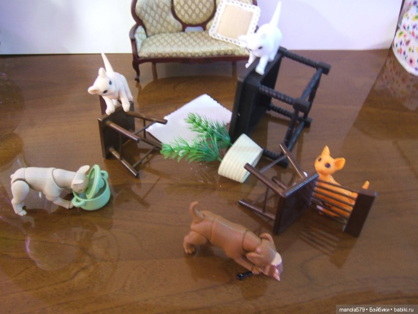 Хозяйка, ты что спишь? А мы тут всё уронили! Фото и история для настроения