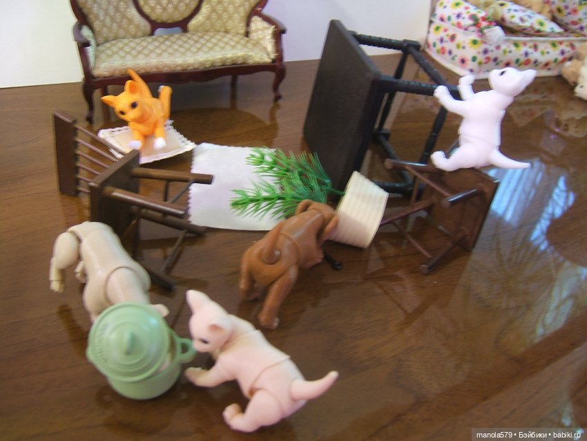 Хозяйка, ты что спишь? А мы тут всё уронили! Фото и история для настроения (фото 7)