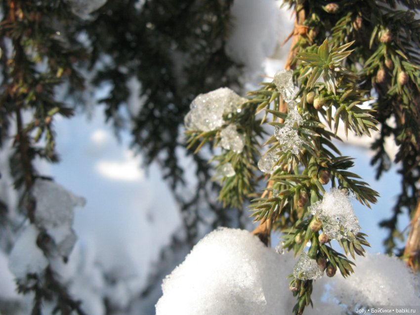 Зимние странствия — Лепка авторских кукол: полимерная глина