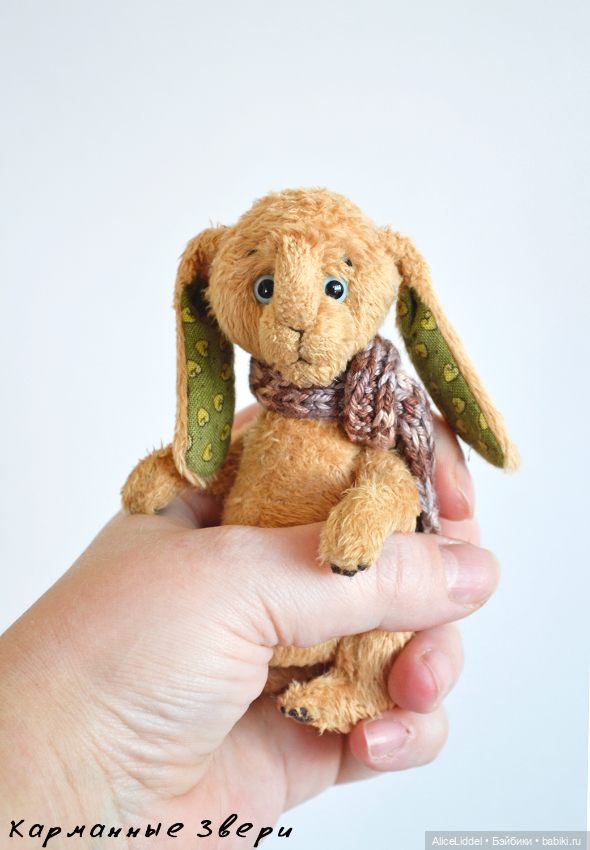 Зайчик которого зовут Логан (фото 5)