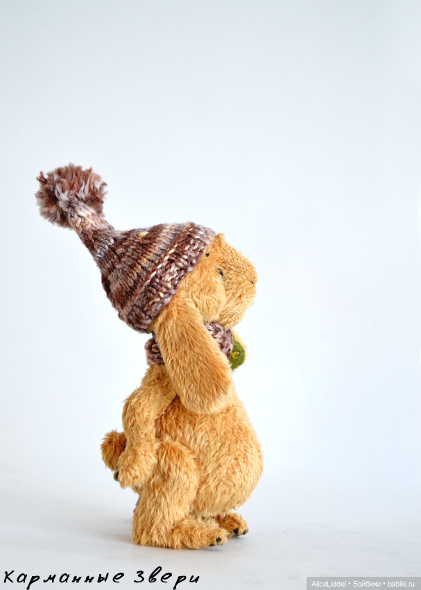 Зайчик которого зовут Логан (фото 6)