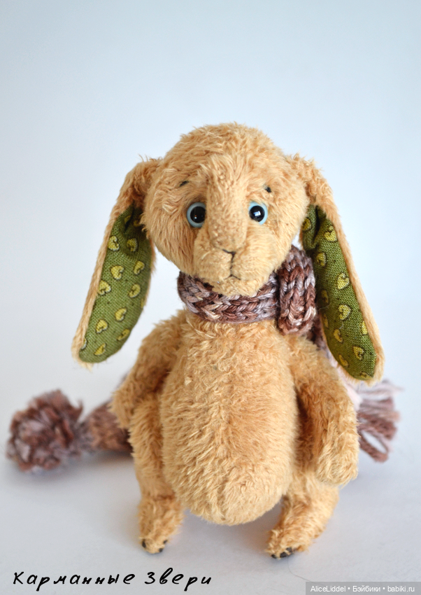 Зайчик которого зовут Логан (фото 4)