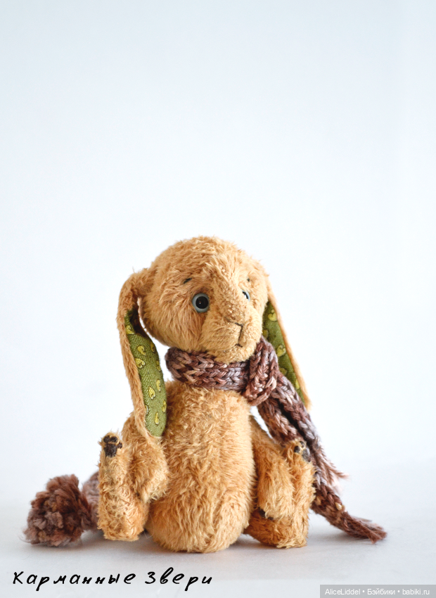 Зайчик которого зовут Логан (фото 3)