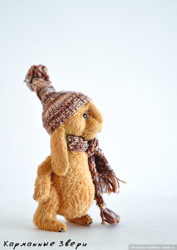 Зайчик которого зовут Логан (фото 2)