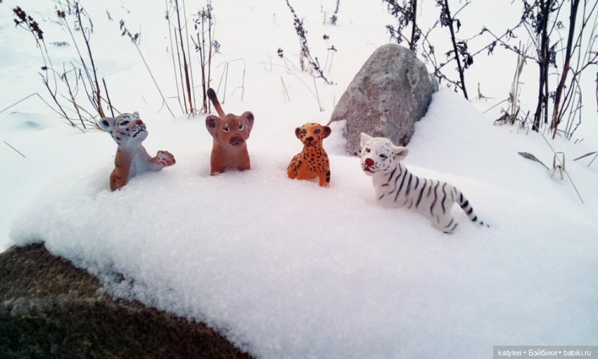 Австралиец в шоке (Весна) 50-й топик