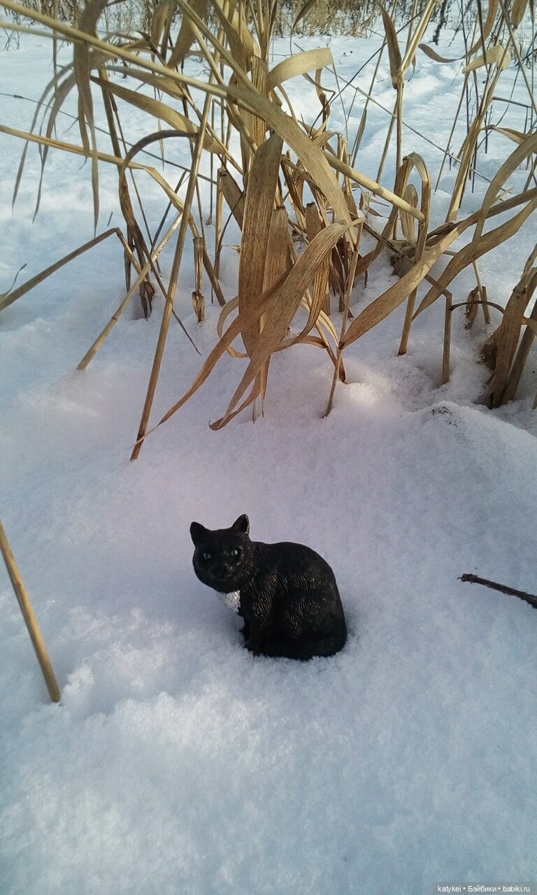 День котиков — Коллекционные игрушки и фигурки: Lego