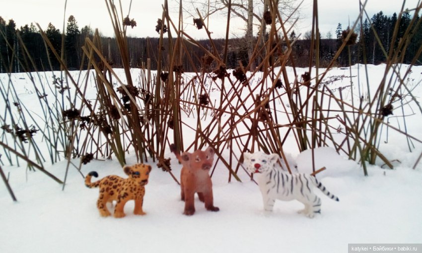 Австралиец в шоке (Весна) 50-й топик (фото 3)