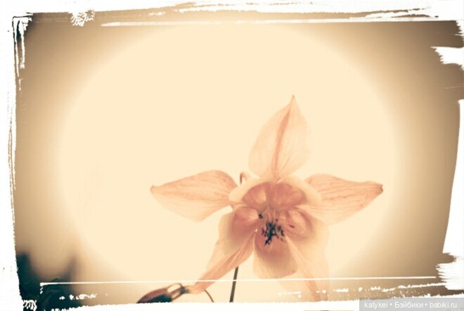 Космические истории 2 — Гибриды шарнирных кукол (не БЖД): подбор тела