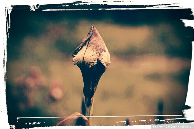 Космические истории 2 — Гибриды шарнирных кукол (не БЖД): подбор тела (фото 3)