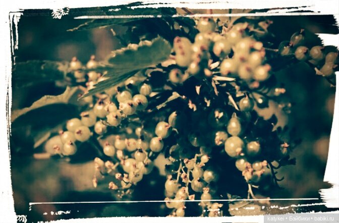 Космические истории 2 — Гибриды шарнирных кукол (не БЖД): подбор тела (фото 4)