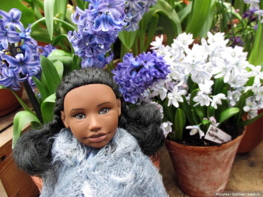 Джемайма и феерия цветов в Аптекарском огороде