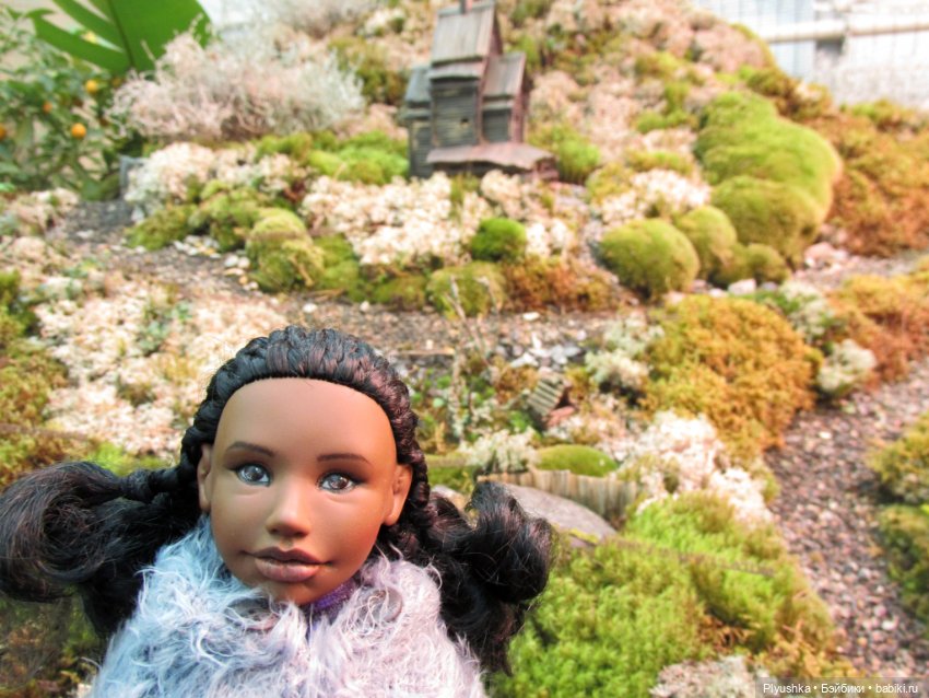 Джемайма и феерия цветов в Аптекарском огороде