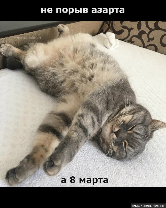 Не школьная парта - а 8 марта