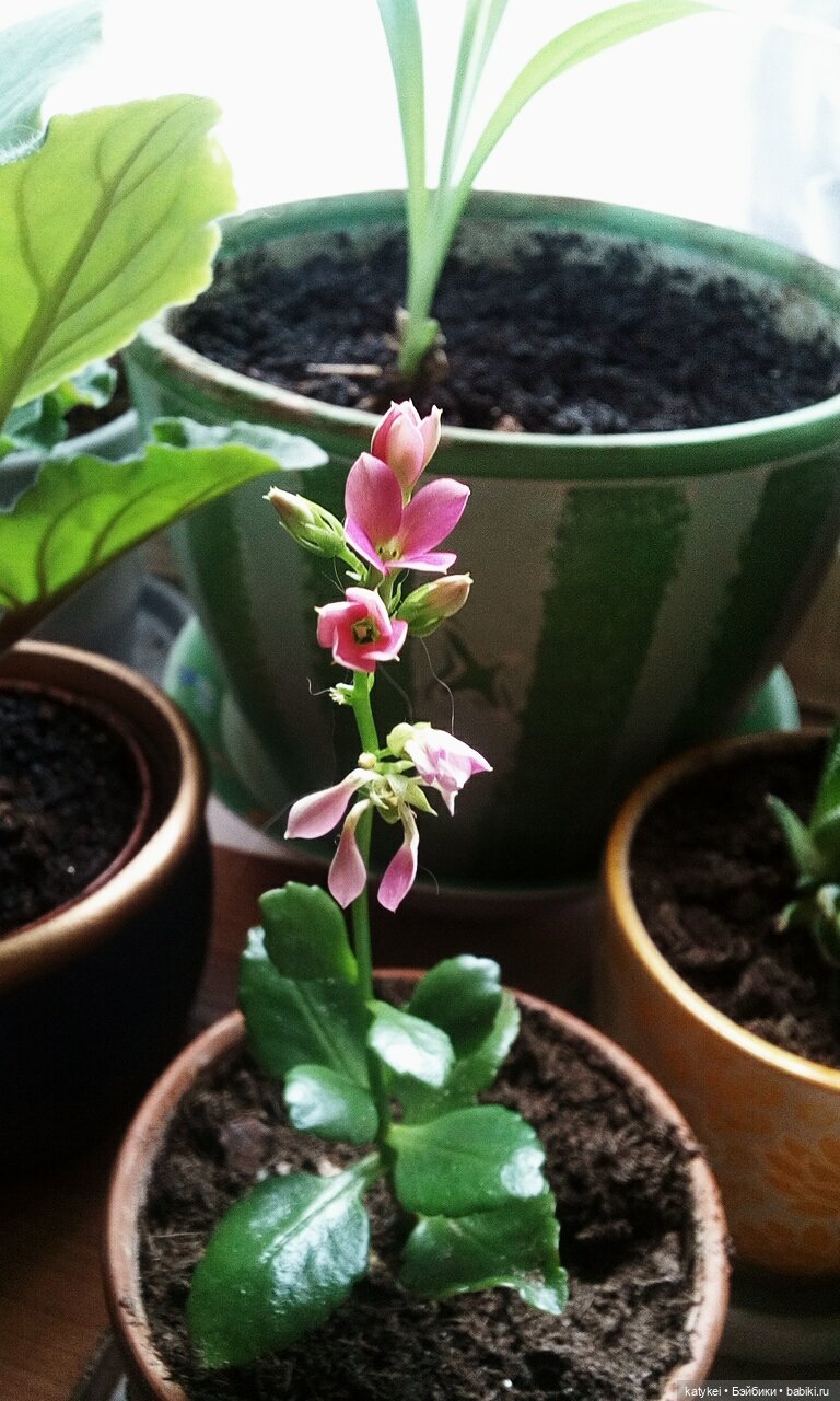 Не школьная парта - а 8 марта