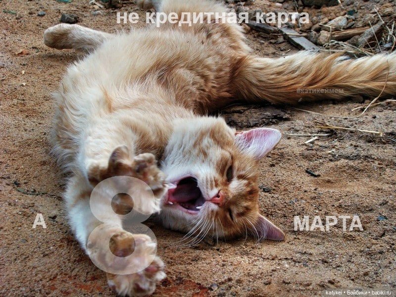 Не школьная парта - а 8 марта