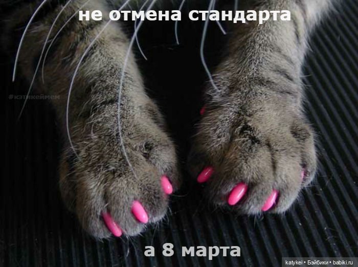 Не школьная парта - а 8 марта