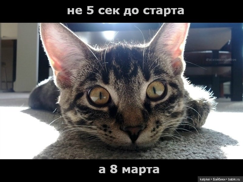 Не школьная парта - а 8 марта