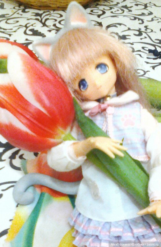 С 8 марта — Болталка и разговоры обо всем: жизнь