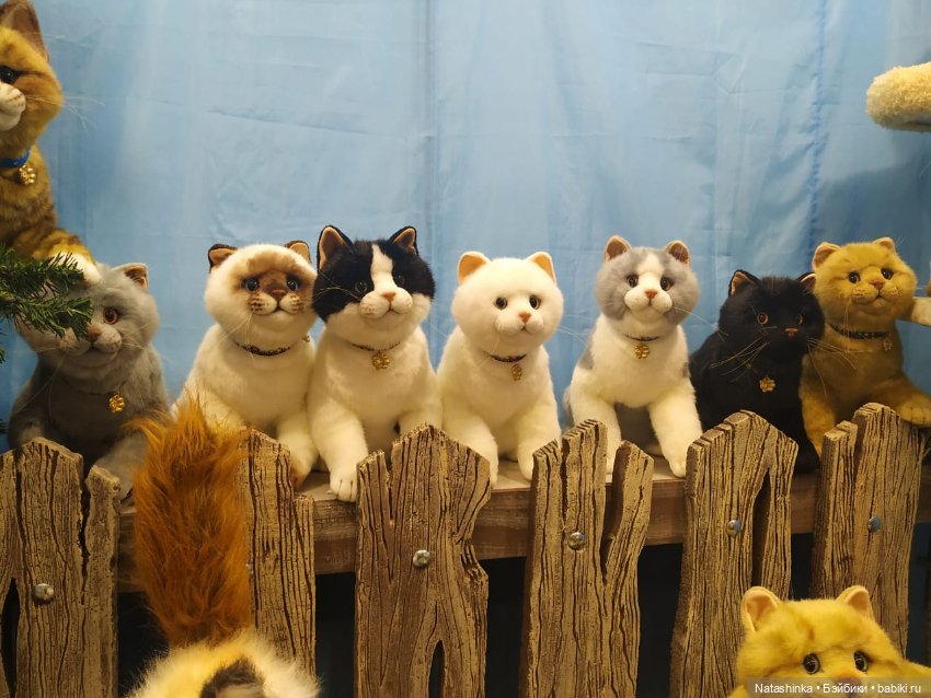 Fashion Dolls 23 — Куклы Звезды подиума (Angel Collection): шарнирные