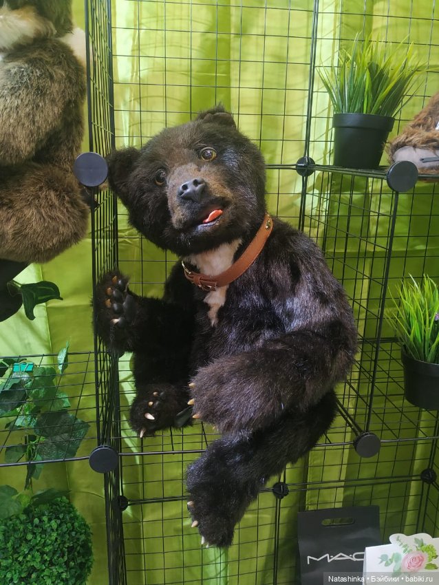 Fashion Dolls 23 — Куклы Звезды подиума (Angel Collection): шарнирные