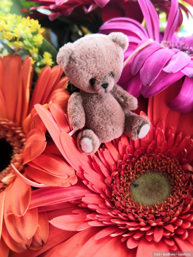 Мы ходили на выставку — Выставки кукол и мишек Тедди: фоторепортажи (фото 10)