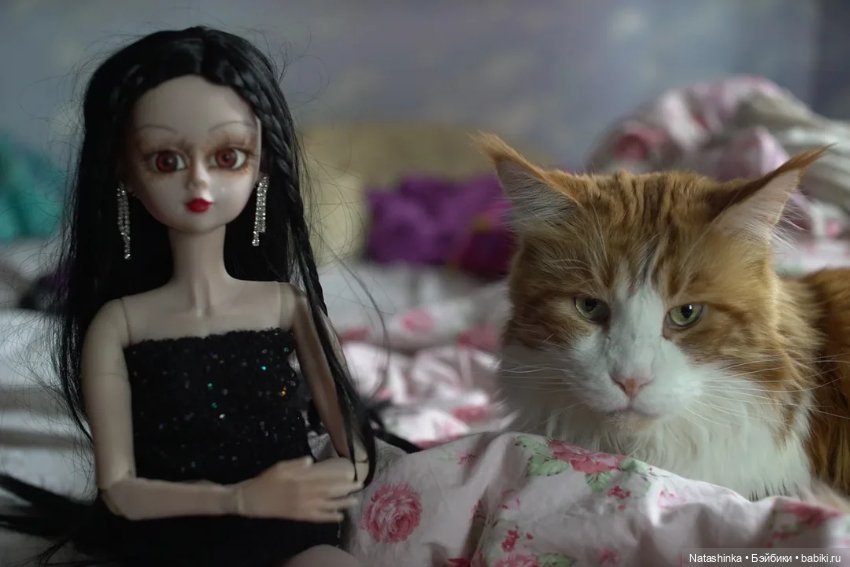 Fashion Dolls 26 — Куклы Звезды подиума (Angel Collection): шарнирные (фото 7)