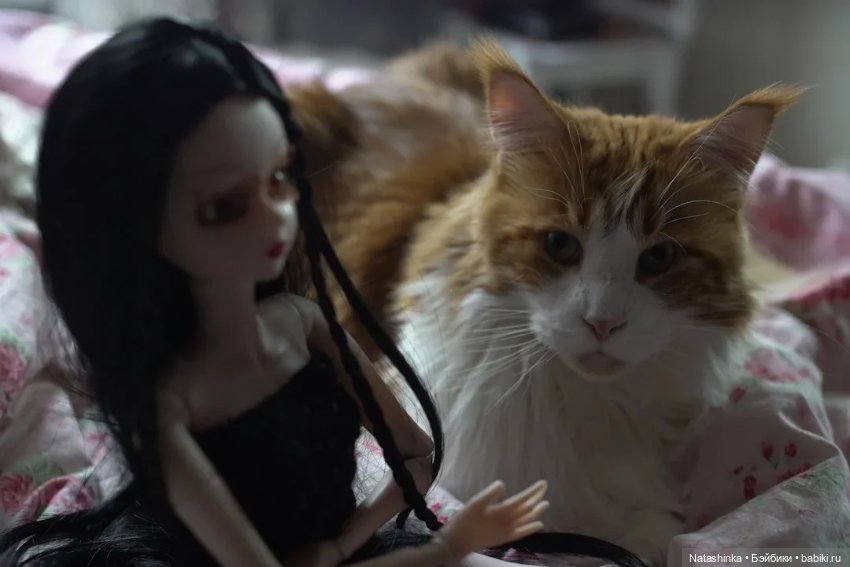 Fashion Dolls 26 — Куклы Звезды подиума (Angel Collection): шарнирные (фото 5)