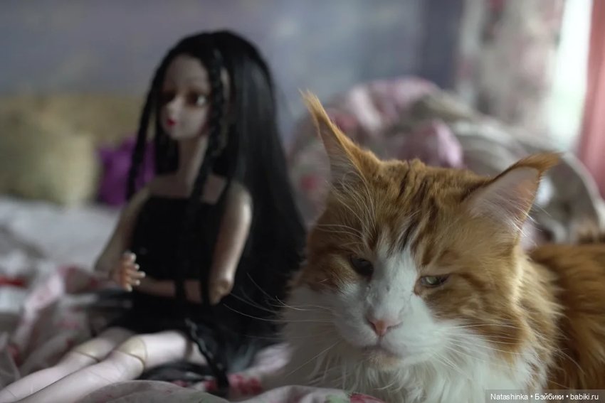 Fashion Dolls 26 — Куклы Звезды подиума (Angel Collection): шарнирные (фото 4)