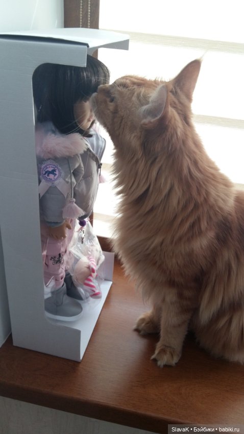 Упущение. Как я могла — Куклы Kidz'n'Cats (Соня Хартман): шарнирные 46 см (фото 3)