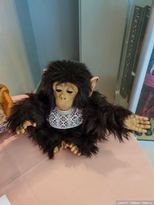 Выставка кукол в Гомеле часть первая (фото 3)