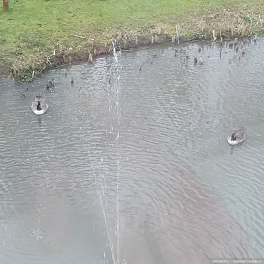 Фотки с выставки в Ноттингем 3