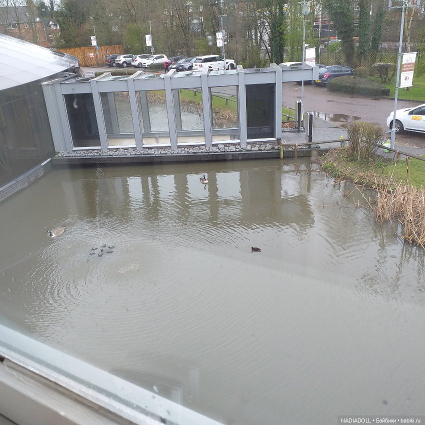 Фотки с выставки в Ноттингем 3