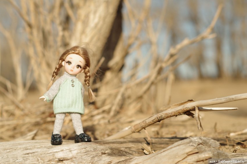 Дело было осенью... Прогулка Аськи (фото 3)