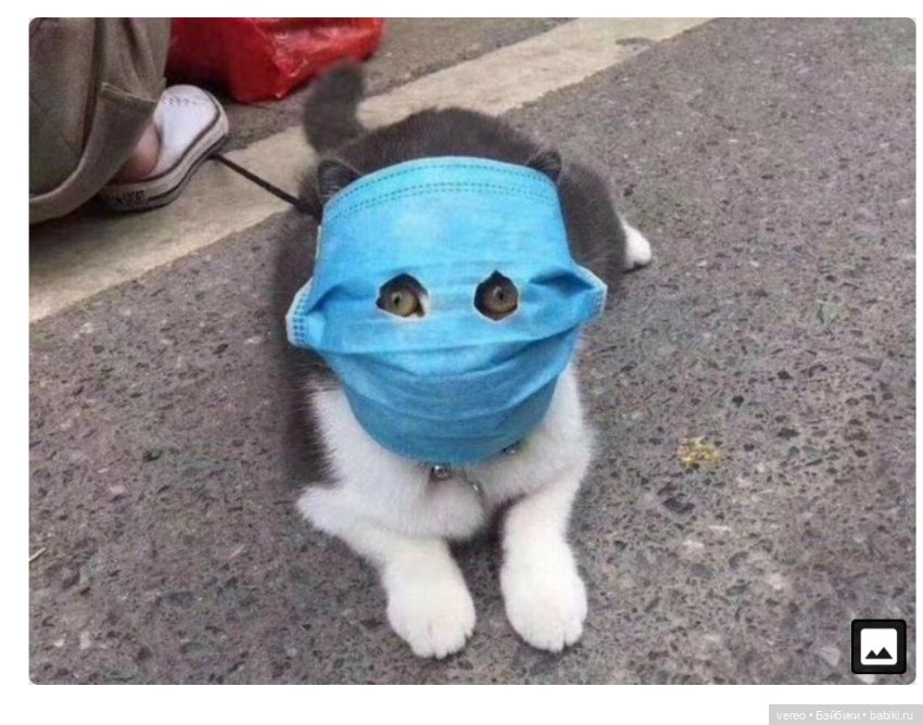 Флешмоб, челлендж необходимы (фото 6)